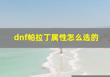 dnf帕拉丁属性怎么选的