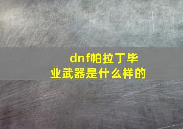 dnf帕拉丁毕业武器是什么样的