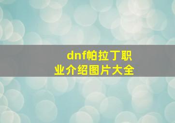 dnf帕拉丁职业介绍图片大全