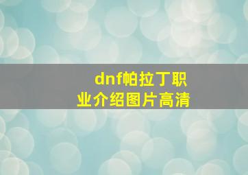 dnf帕拉丁职业介绍图片高清