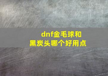 dnf金毛球和黑炭头哪个好用点