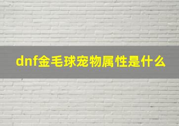 dnf金毛球宠物属性是什么