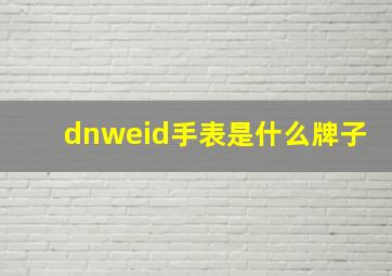 dnweid手表是什么牌子