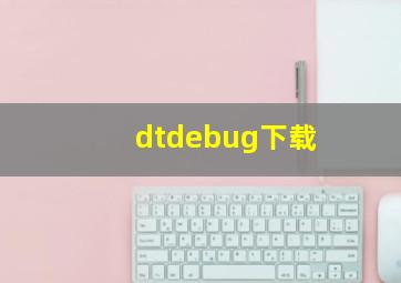 dtdebug下载