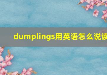 dumplings用英语怎么说读