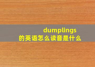 dumplings的英语怎么读音是什么