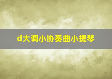 d大调小协奏曲小提琴