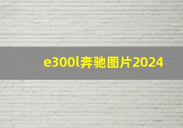 e300l奔驰图片2024