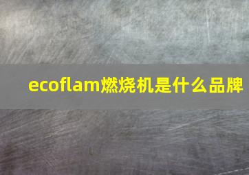 ecoflam燃烧机是什么品牌