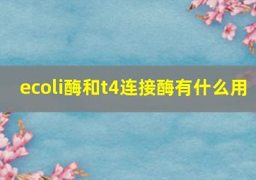 ecoli酶和t4连接酶有什么用