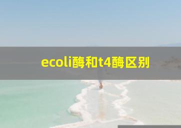 ecoli酶和t4酶区别