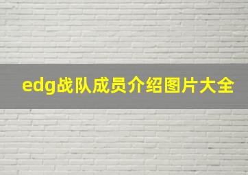 edg战队成员介绍图片大全