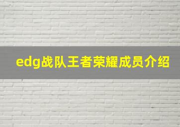 edg战队王者荣耀成员介绍