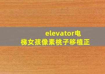 elevator电梯女孩像素桃子移植正