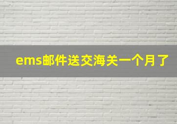 ems邮件送交海关一个月了