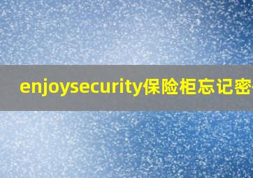 enjoysecurity保险柜忘记密码