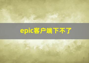 epic客户端下不了