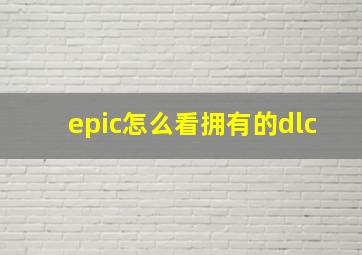 epic怎么看拥有的dlc