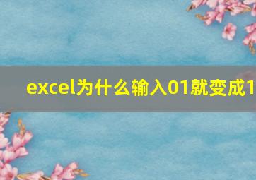 excel为什么输入01就变成1