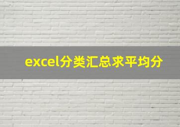 excel分类汇总求平均分