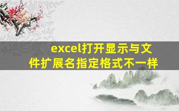 excel打开显示与文件扩展名指定格式不一样