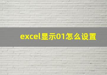 excel显示01怎么设置