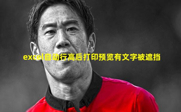 excel自动行高后打印预览有文字被遮挡