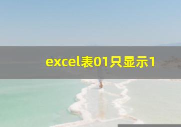 excel表01只显示1