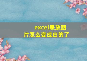 excel表放图片怎么变成白的了