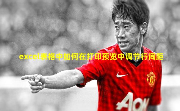 excel表格中如何在打印预览中调节行间距
