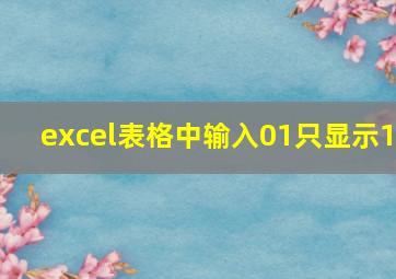 excel表格中输入01只显示1