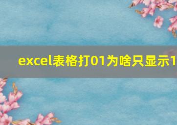 excel表格打01为啥只显示1