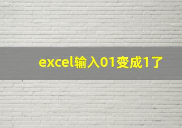 excel输入01变成1了