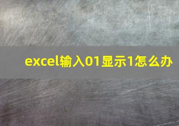 excel输入01显示1怎么办