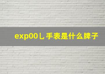 exp00乚手表是什么牌子