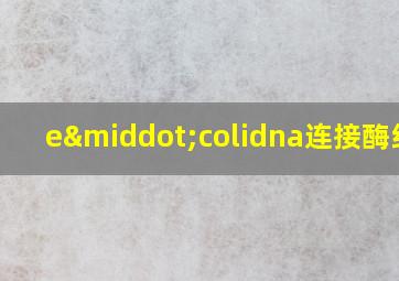 e·colidna连接酶结构