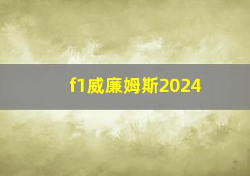 f1威廉姆斯2024