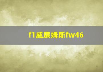 f1威廉姆斯fw46