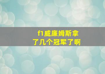 f1威廉姆斯拿了几个冠军了啊