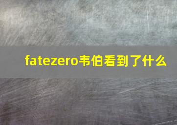 fatezero韦伯看到了什么