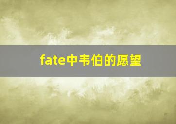 fate中韦伯的愿望