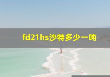 fd21hs沙特多少一吨