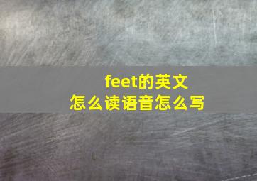 feet的英文怎么读语音怎么写