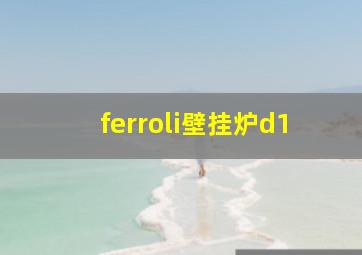 ferroli壁挂炉d1