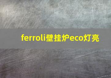 ferroli壁挂炉eco灯亮