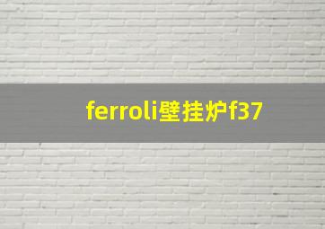 ferroli壁挂炉f37