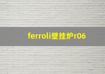 ferroli壁挂炉r06