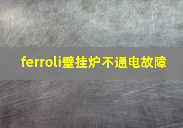 ferroli壁挂炉不通电故障