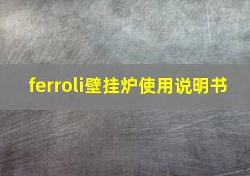 ferroli壁挂炉使用说明书