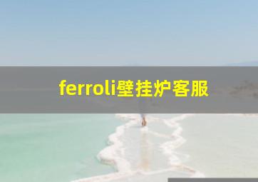 ferroli壁挂炉客服